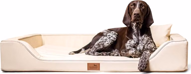 tierlando® Lettino ortopedico LUXURY per cani MELODY LATEX in Pelle finta anti-pelucchi - dimensioni: 120x85cm | colore: 05 crema