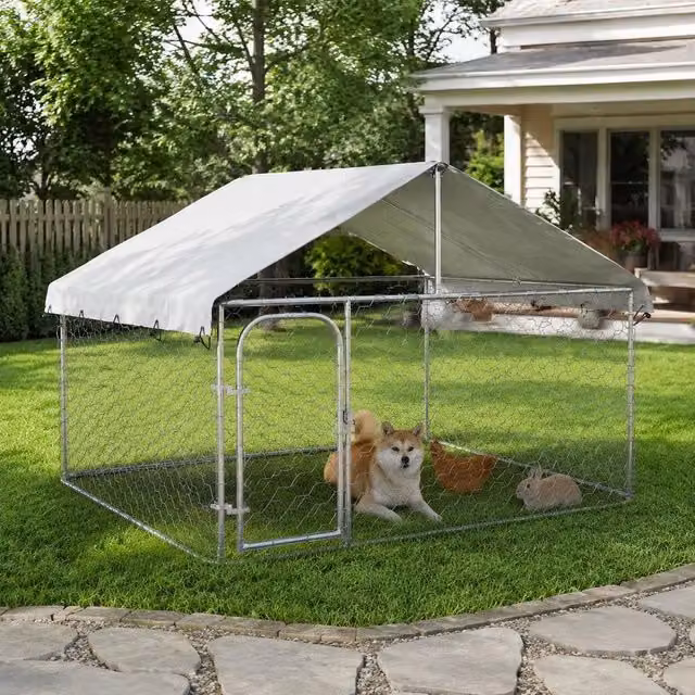 Outdoor Dog Kennel With Roof 200x200x150 Cm