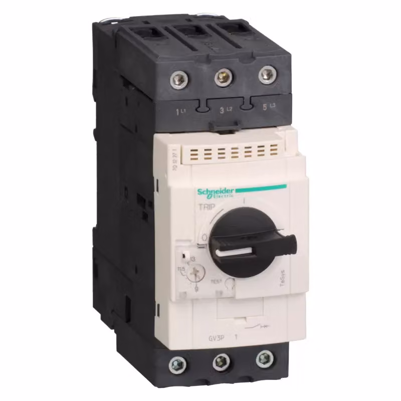 Interruttore automatico di protezione motore Schneider Electric GV3P25