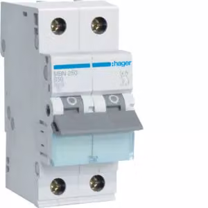 Interruttore automatico 2 poli 6kA B caratteristica 50A 2 moduli