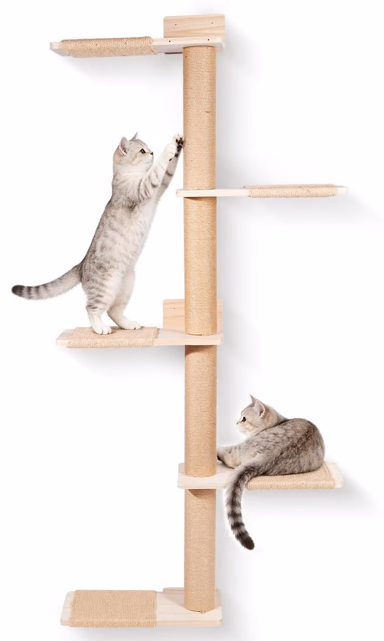 Albero per gatti da montare a parete, alto, salvaspazio, confezione singola, ideale per gatti attivi