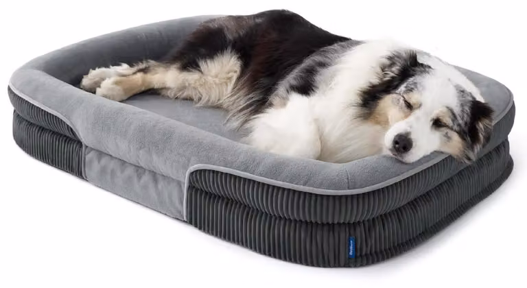 Cuccia ortopedica per cani, taglia XL, 114x81x18 cm, grigia, con imbottitura impermeabile e rivestimento in tessuto a coste