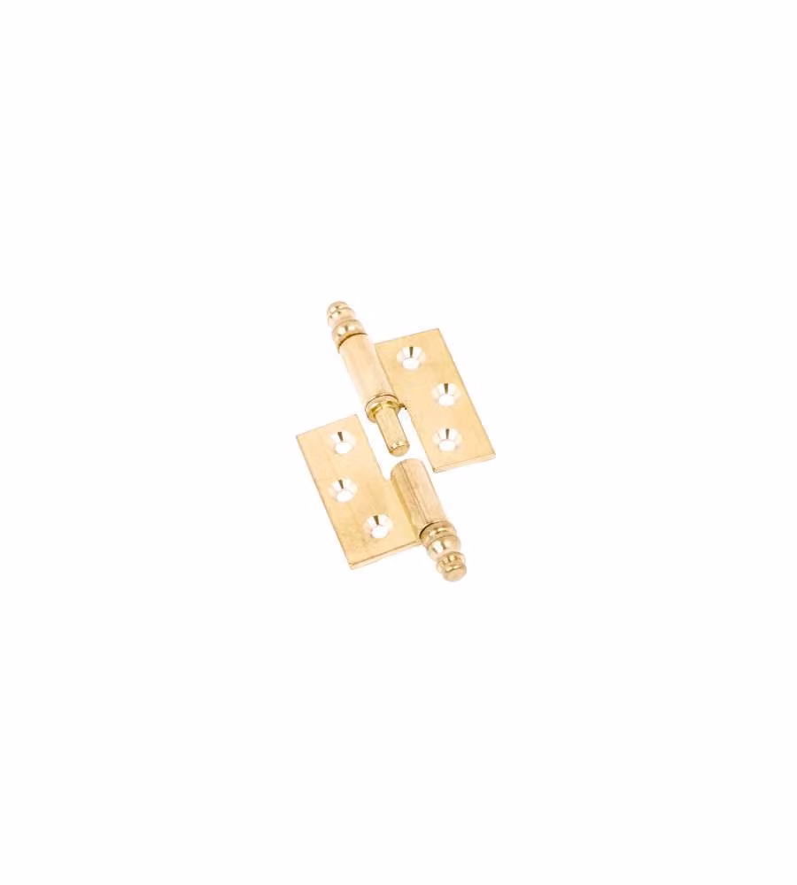 Cerniere Piane Canotto Liscio Ottone Lucido Mm.40X40 Destra