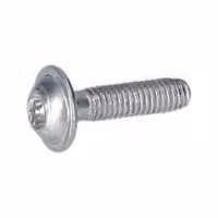 Vite a testa bombata Torx per Martelli perforatori BOSCH PROFESSIONAL - 160343000V