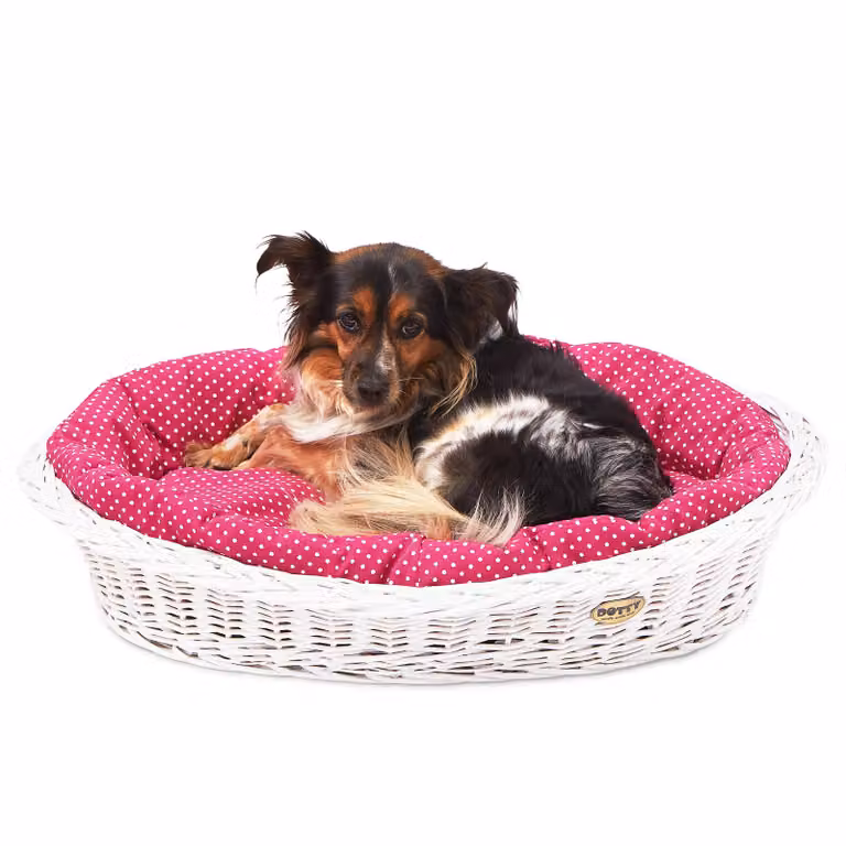 Cesto in vimini bianco sbiancato per cani Cesto Wiki con cuccia in cotone - Rosa a pois bianchi - DOTTY