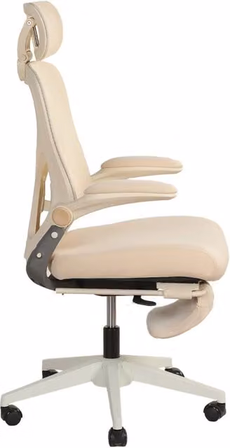 Sedia da Ufficio Ergonomica in Schiuma; Pieghevole con Supporto Lombare; Crema; per Studio