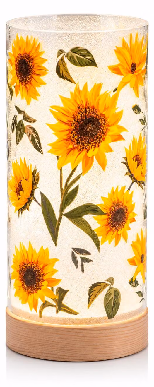 formano LED Luce decorativa Girasoli Luce d'atmosfera Cilindro in vetro 20 cm Base in legno