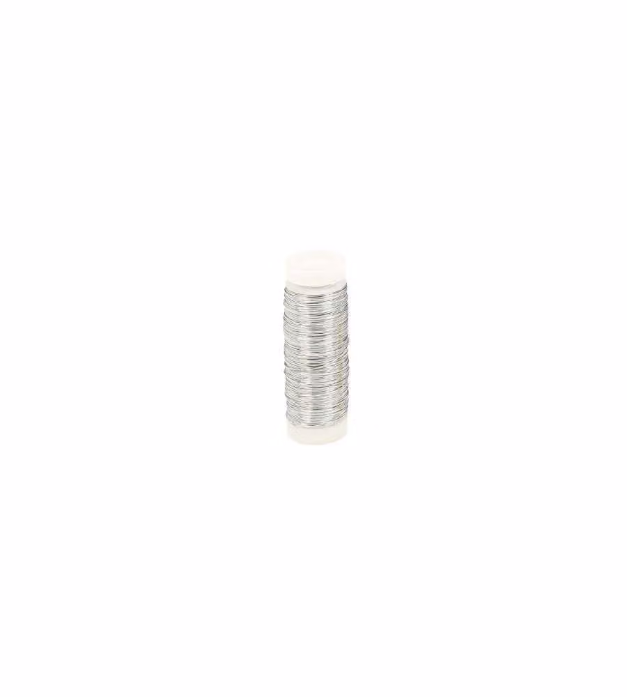 Bobina Filo Argento Diametro Mm.0,30 Gr.50