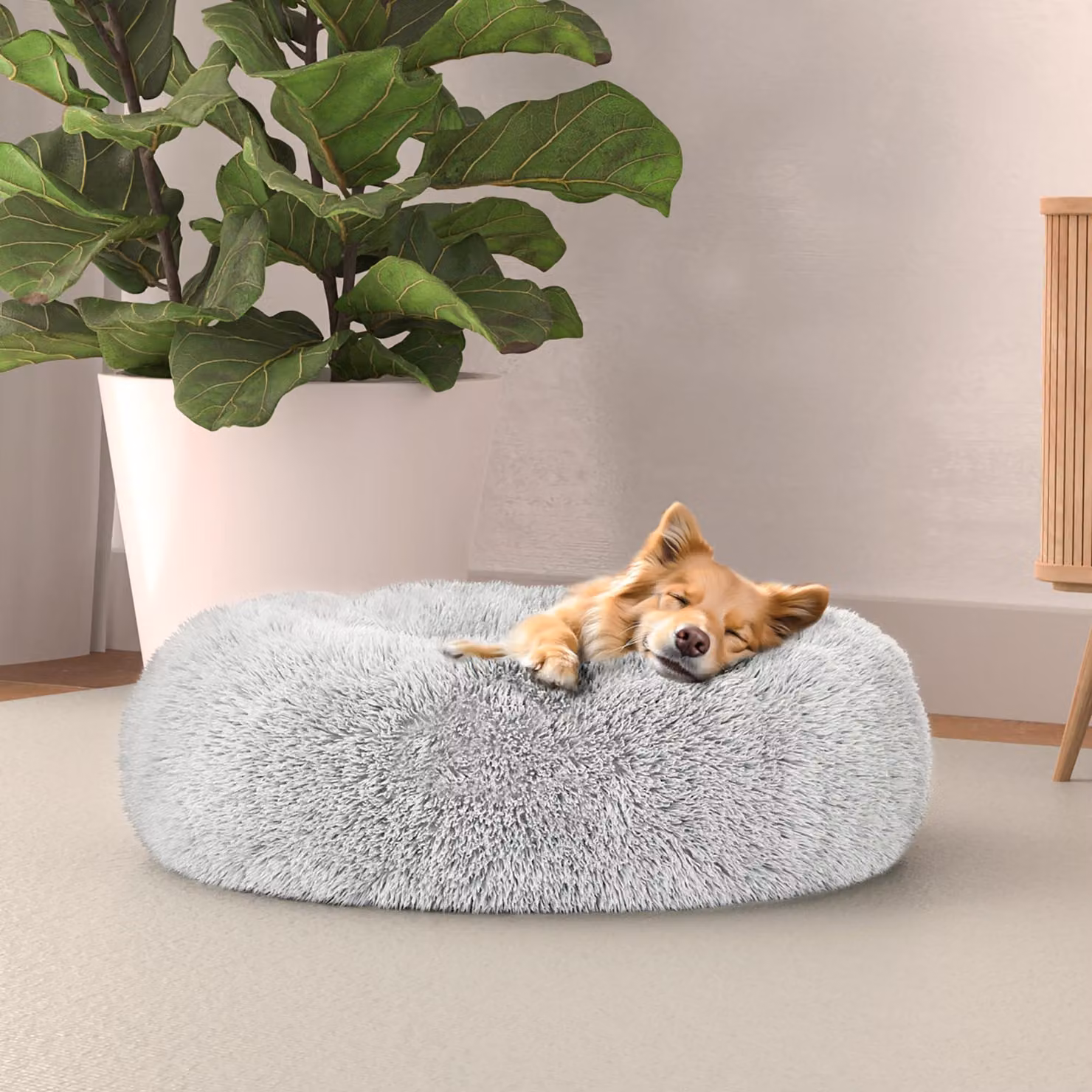 Lenzuolo per letto italiano, cuccia per cani "Dreams", collezione "Sogni e Capricci", articoli per animali domestici, creme, 50x50 cm
