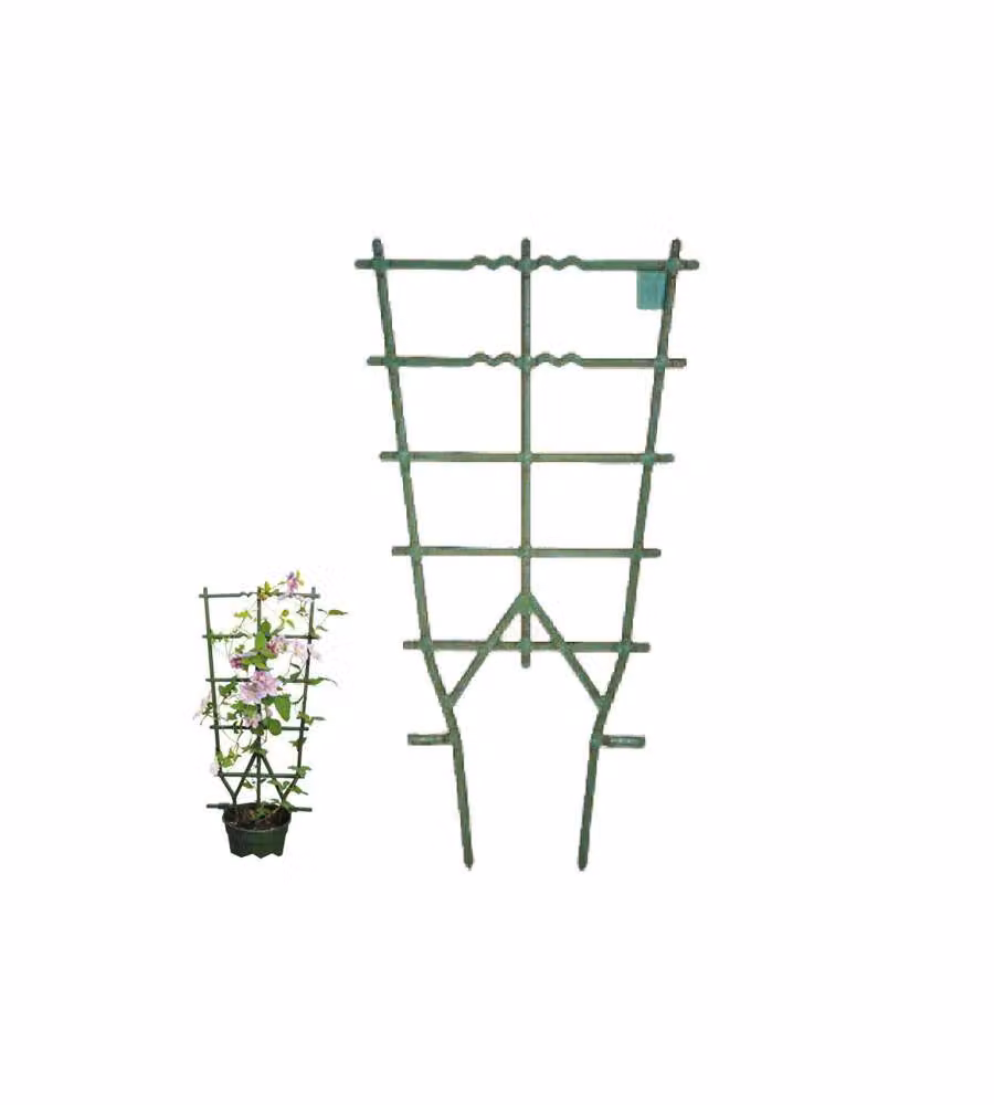 Telaio Vasi Rampicanti Verde Cm 35 H 90