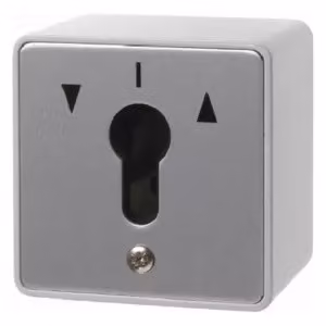 Berker 4447 Interruttore a chiave cieco Ap per profilo mezzo cilindro pressofuso IP44