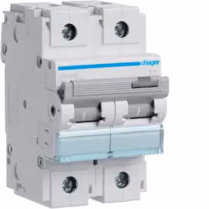 Interruttore magnetotermico bipolare 15 kA, caratteristica D, 80 A, 3 moduli
