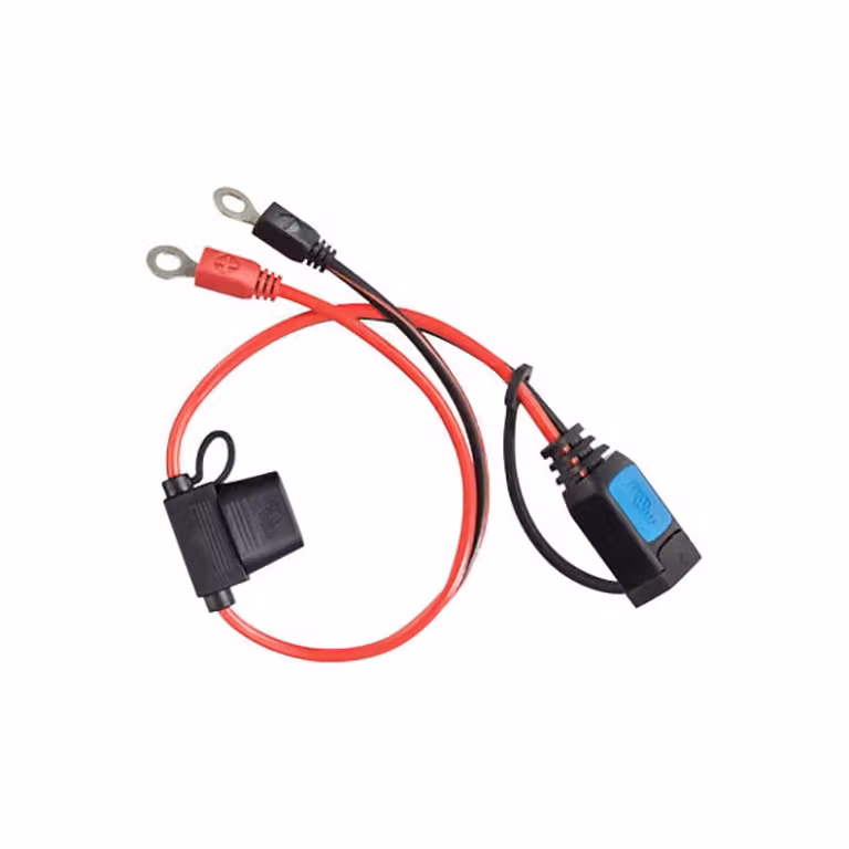 Cavo di collegamento Victron Occhielli DC M8 per caricabatterie blu