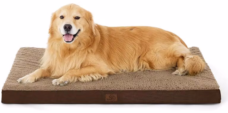 Cuccia ortopedica per cani, 112x81x8 cm, marrone, lavabile, adatta a cani di grossa taglia