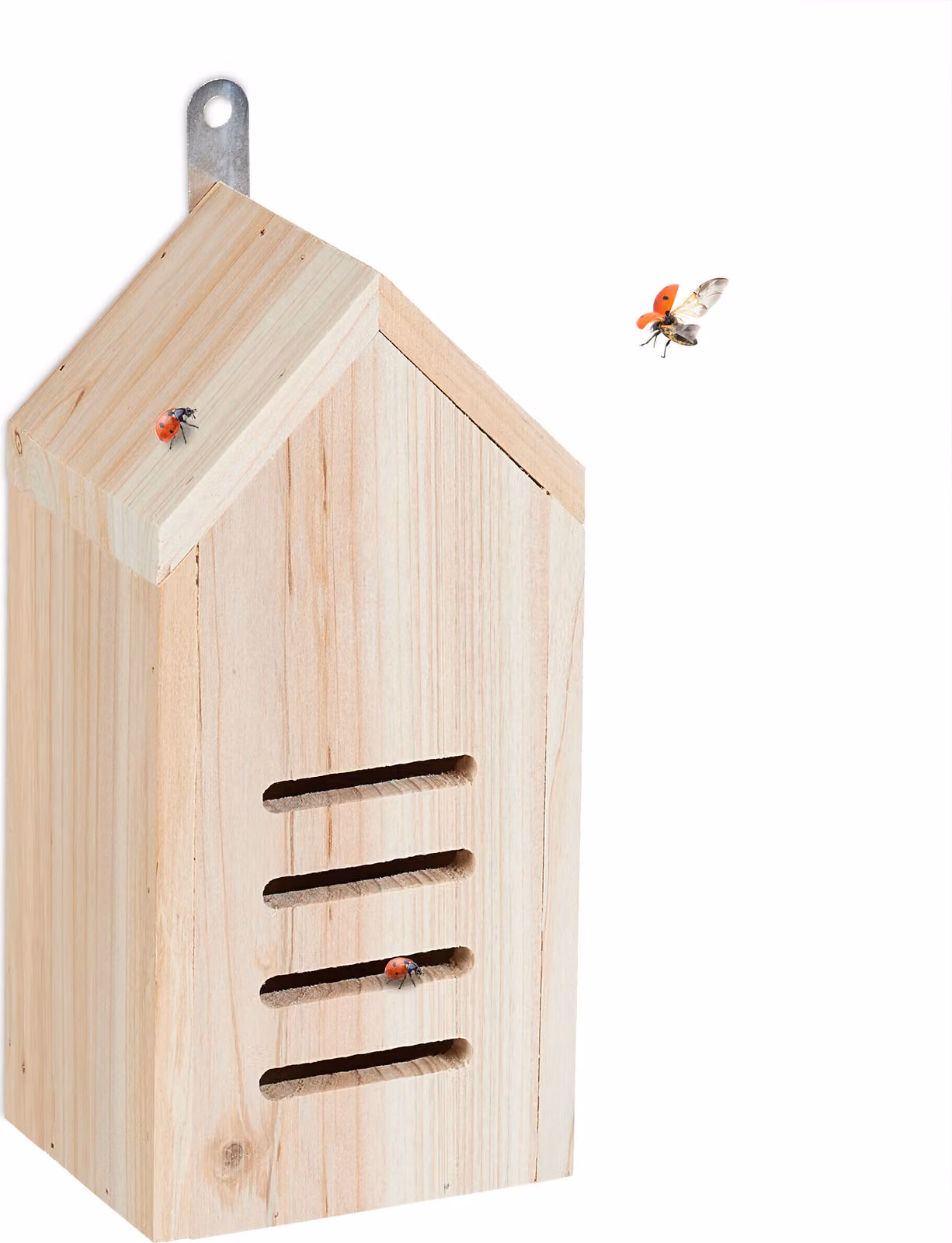 Relaxdays Casetta per coccinelle, hotel per coccinelle da giardino, da appendere, legno non trattato, hotel per insetti coccinelle, naturale
