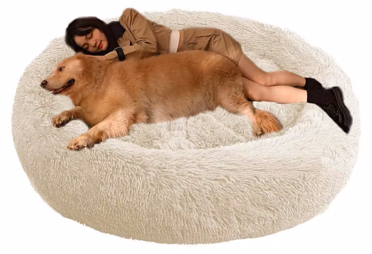 Cuccia ortopedica per cani e gatti, forma rotonda, colore beige, diametro 130 cm