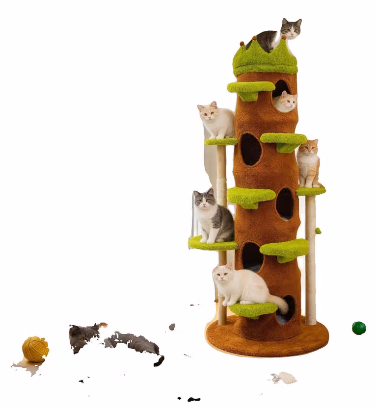 Torre per gatti, cinque livelli, struttura robusta in legno, verde
