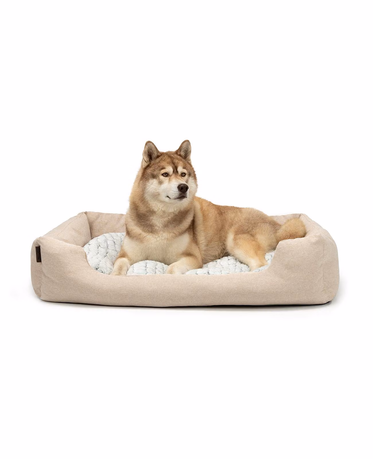 lettino per cani lionto, accogliente letto per cani con cuscino reversibile e rimovibile, base antiscivolo, 110x80 cm, beige