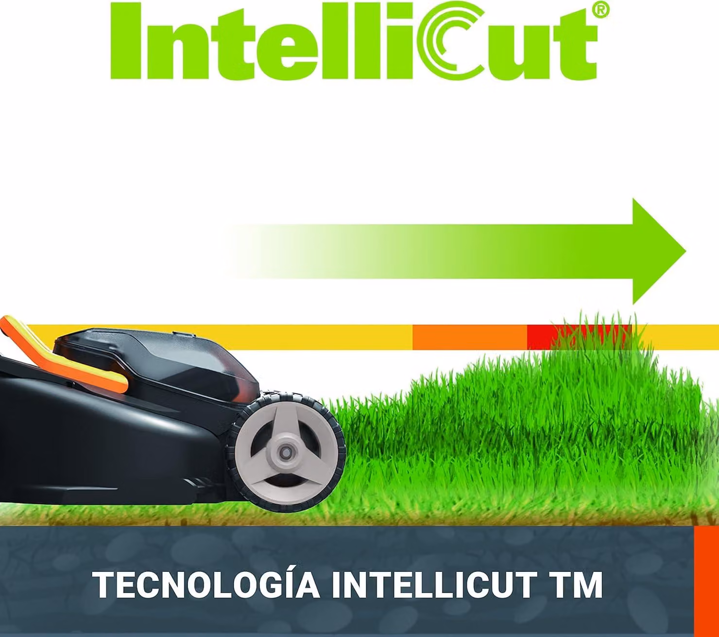 Tagliaerba a batteria - Larghezza di taglio 34 cm - Motore brushless potente - 2 batterie da 4,0 Ah - 40V - Nero