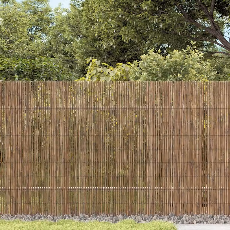 Maison Exclusive - Recinzione per giardino, 1000x90 cm, realizzata in canne