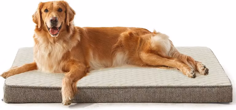 Cuccia per cani, dimensioni 120 x 74 x 9 cm, taglia XXL, ortopedica, lavabile, antiscivolo, adatta a cani di grossa taglia
