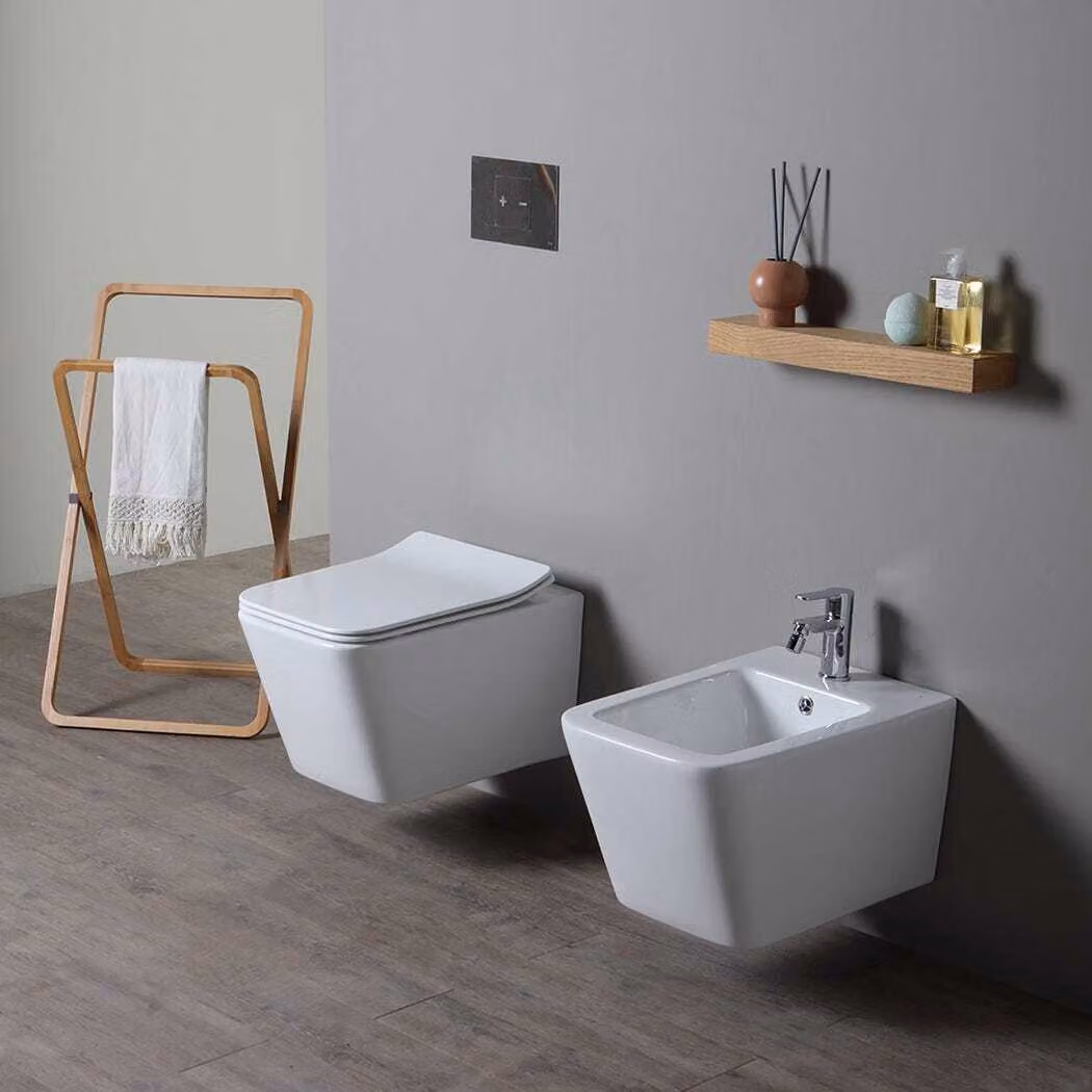 Coppia di sanitari sospesi in Vetroceramica rimless | Rock