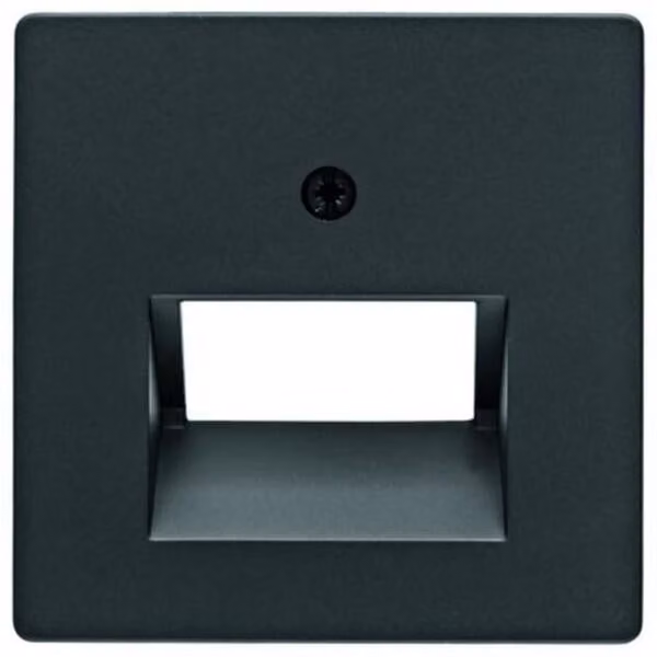 Berker ZST F.DATENDOSE 2F, nero, materiale (14096085 Q.X)