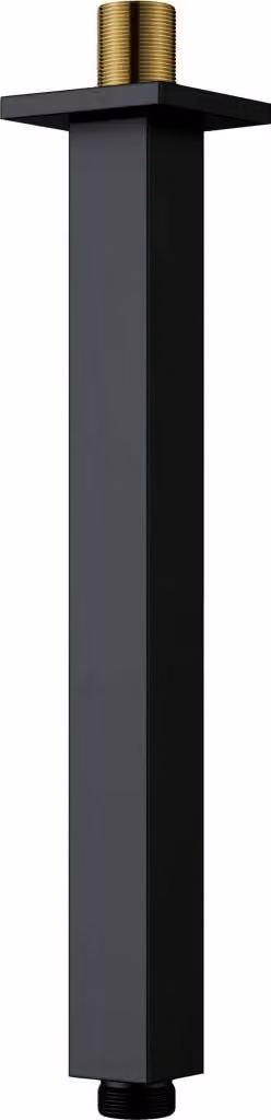 Cascada nero Braccio doccia, soffitto - 250 mm (NAC_N48K)
