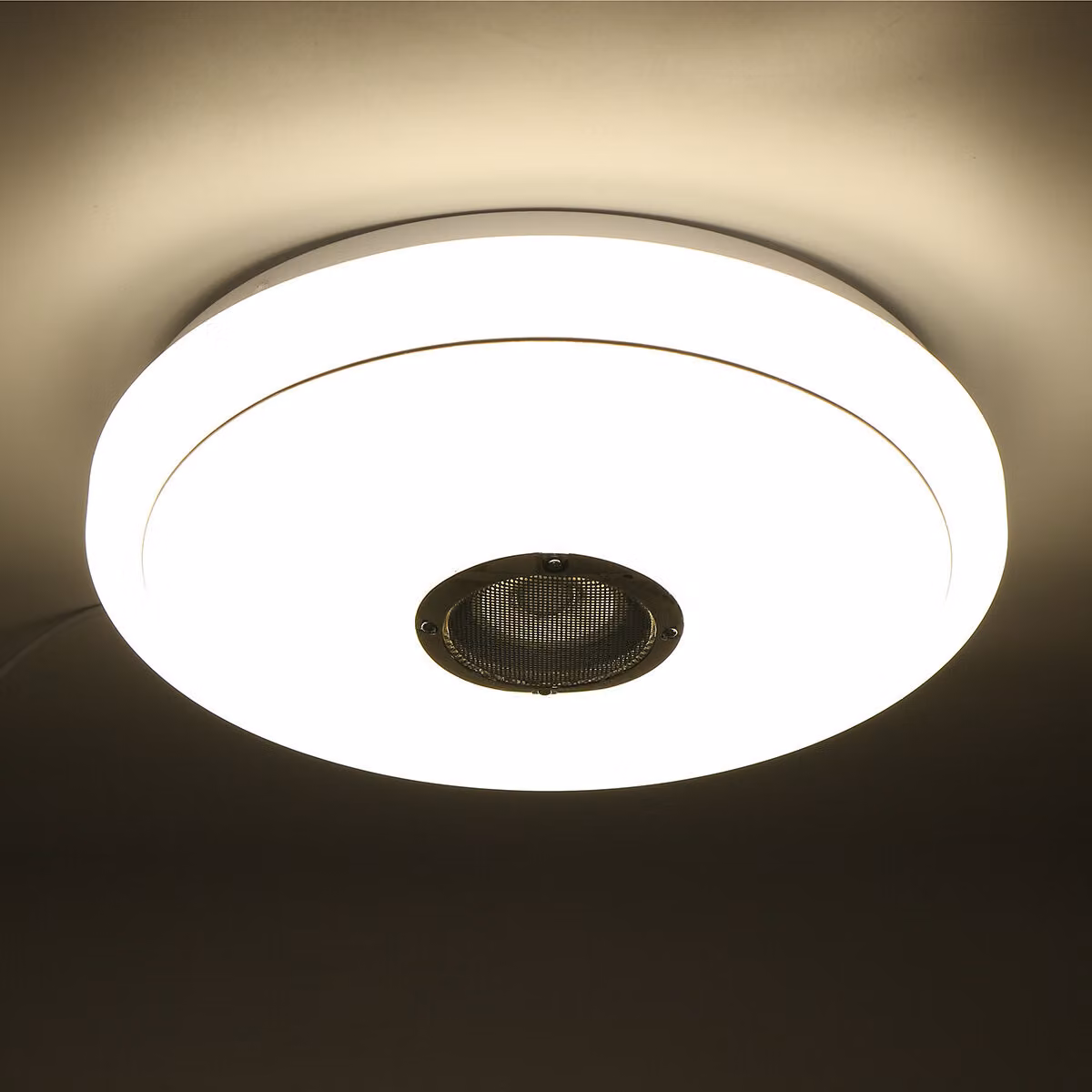2.plafoniera LED Bluetooth a 4 GHz 256 altoparlanti musicali RGB lampada dimmerabile + telecomando - Telecomando a infrarossi