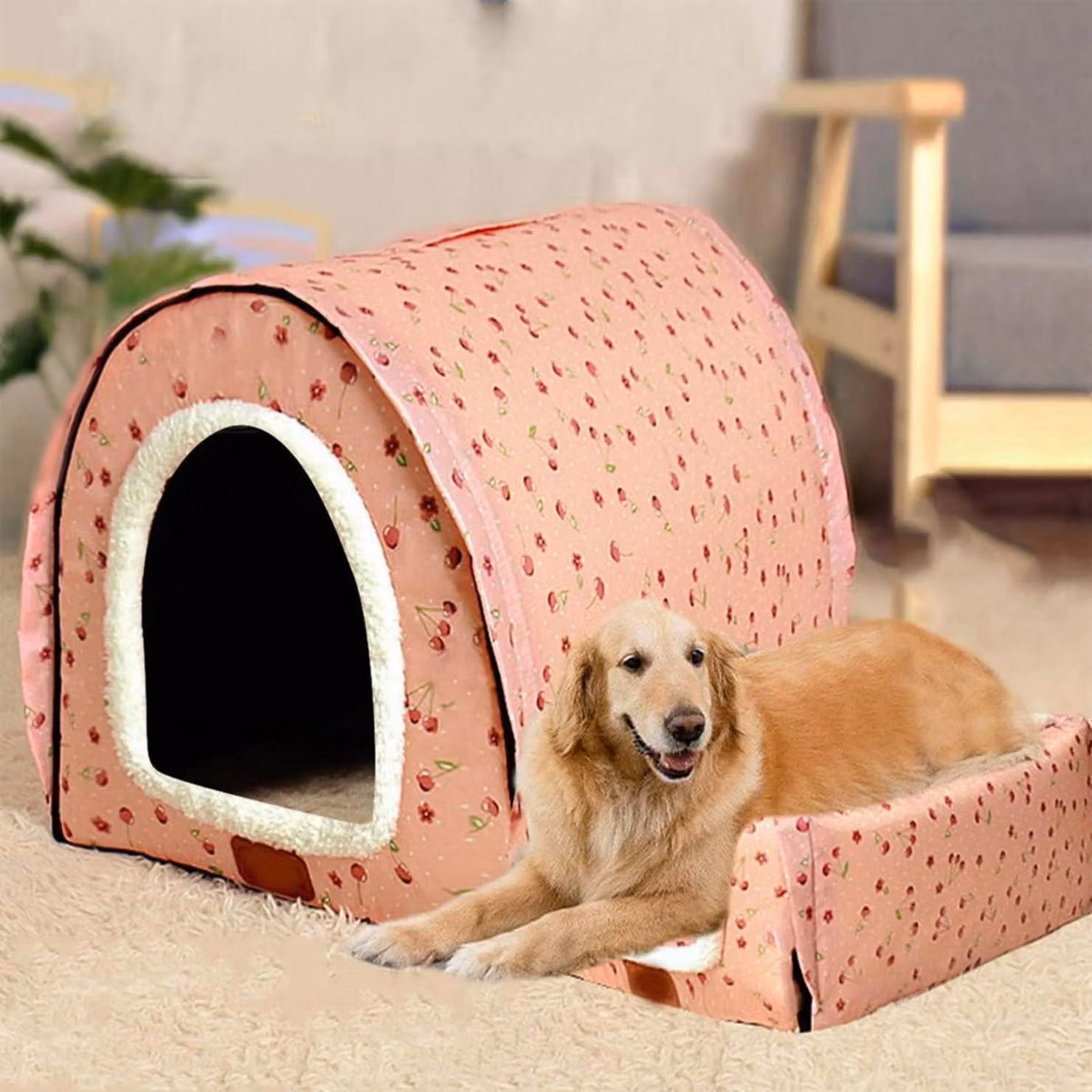 Cuccia per cani, imbottita, taglia XL/XXL, adatta per interni ed esterni, lavabile, dimensioni 92 x 68 x 72 cm