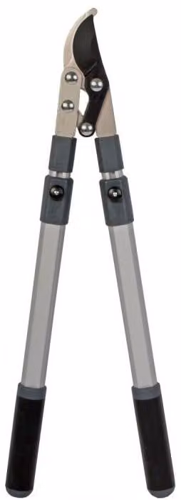 Forbici telescopiche per potatura - da 50 a 85 cm - al pezzo