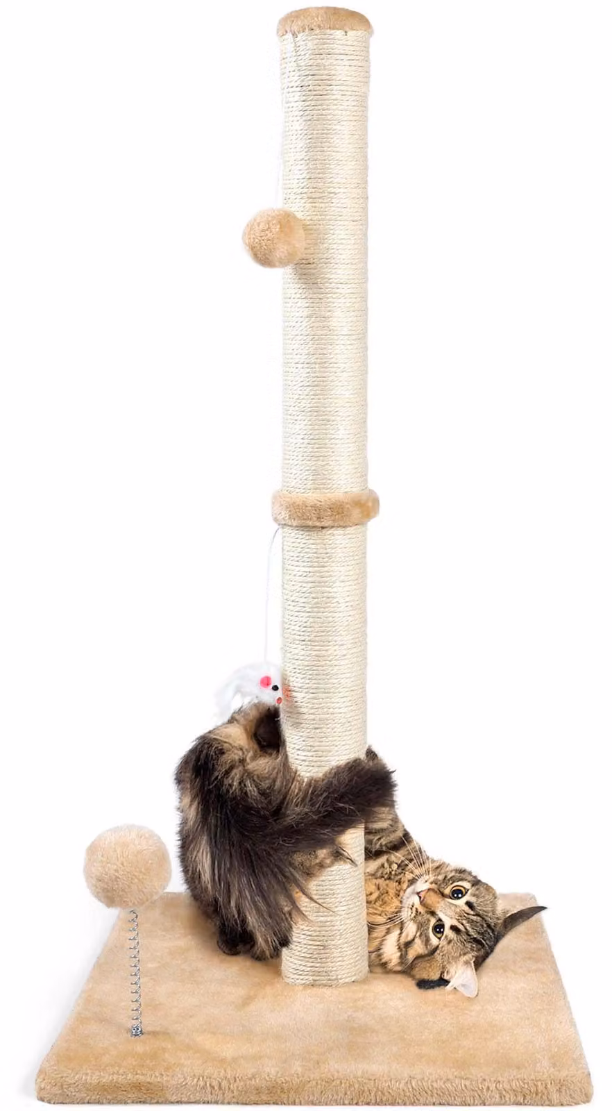 Albero per gatti 40 x 70 cm, 3-in-1, con palo in sisal, color tortora, per gatti da interno
