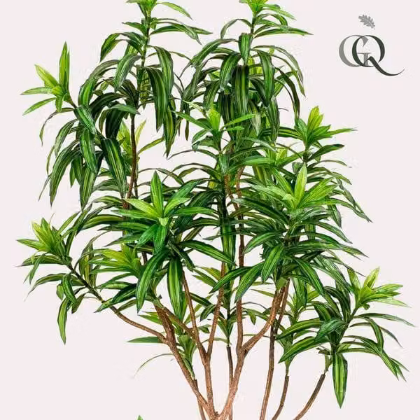 Pianta artificiale Dracaena Ø190cm - pianta verde artificiale per soggiorno