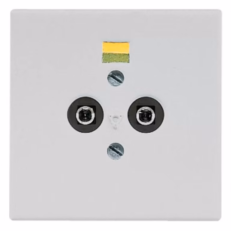Jung LS965-2LG, presa di corrente per l'equipotenzializzazione, colore grigio chiaro