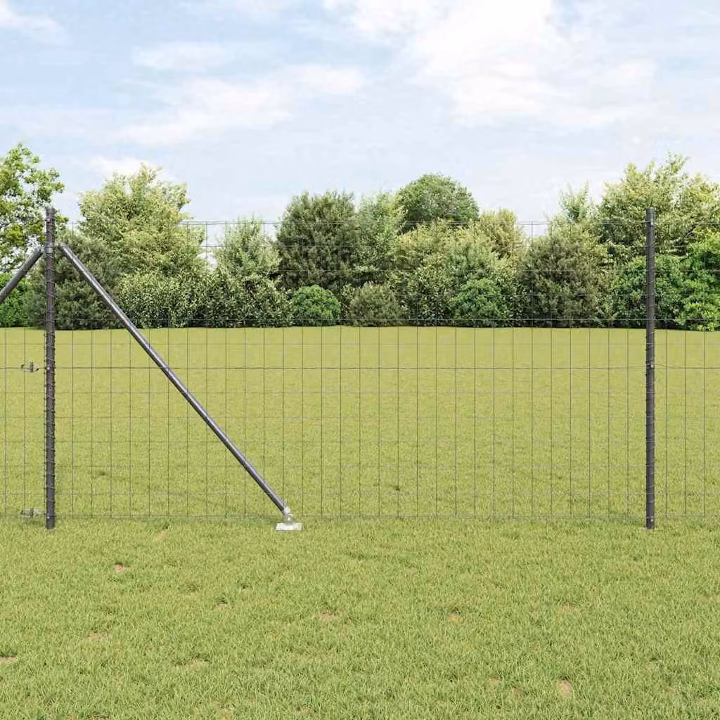 Maison Exclusive - Recinzione con Posto Grigio 1 x 10 m Acciaio e PVC
