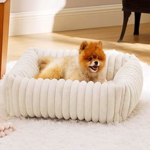 Cuscino per divano a forma di gatto | Cuccia riscaldante lavabile per cani, adatta per interni (casa, balcone, soggiorno, camera da letto, pavimento) e esterni