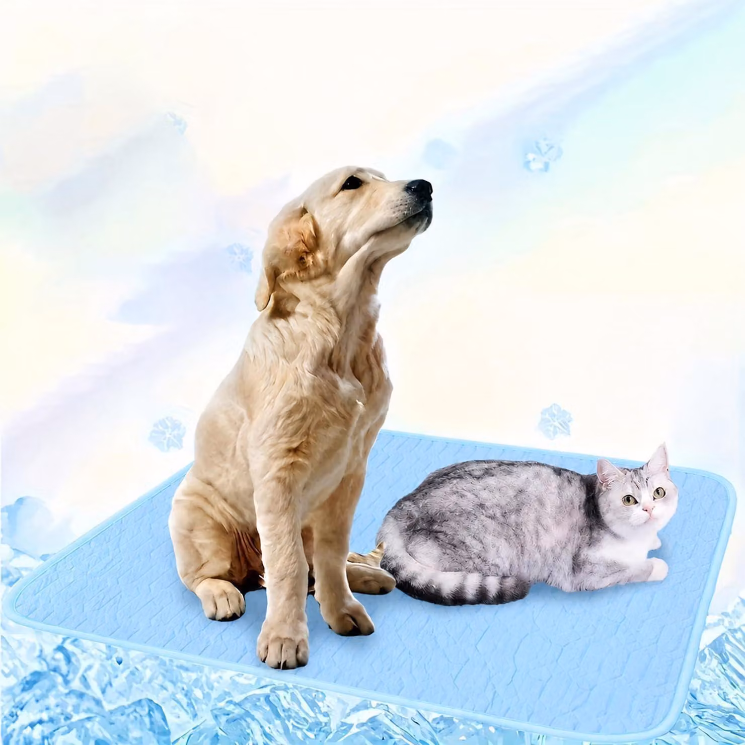 Tappetino refrigerante per cani, autorigenerante, 40x50 cm, blu, antiscivolo, lavabile