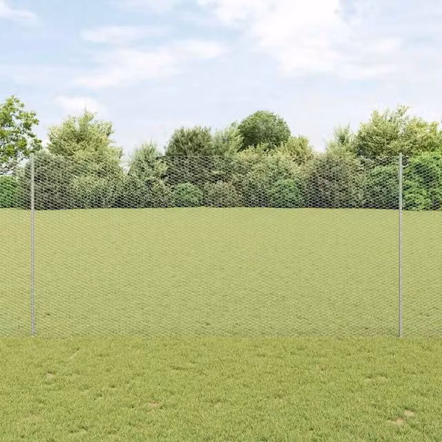 Recinzione esagonale con palo 50 x 1,6 m Acciaio zincato Rete 3337052
