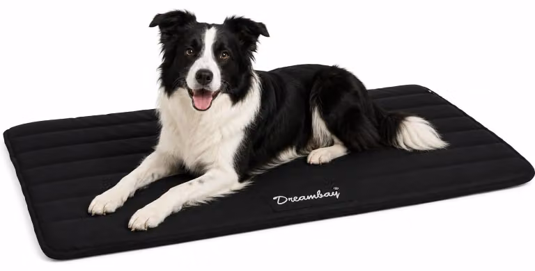 Cuccia per cani Flamingo - lettino ortopedico per gatti Dreambay® nero - idrorepellente