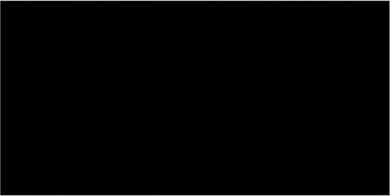 Copertura per Piscina Nera 488x244 cm PE