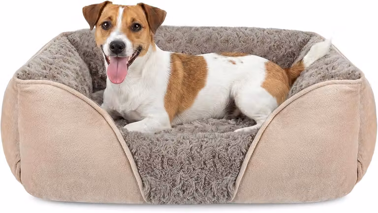 Cuccia per cani, adatta a cani di taglia media, lavabile, progettata per ridurre l'ansia, realizzata in peluche morbido e traspirante, con base antiscivolo