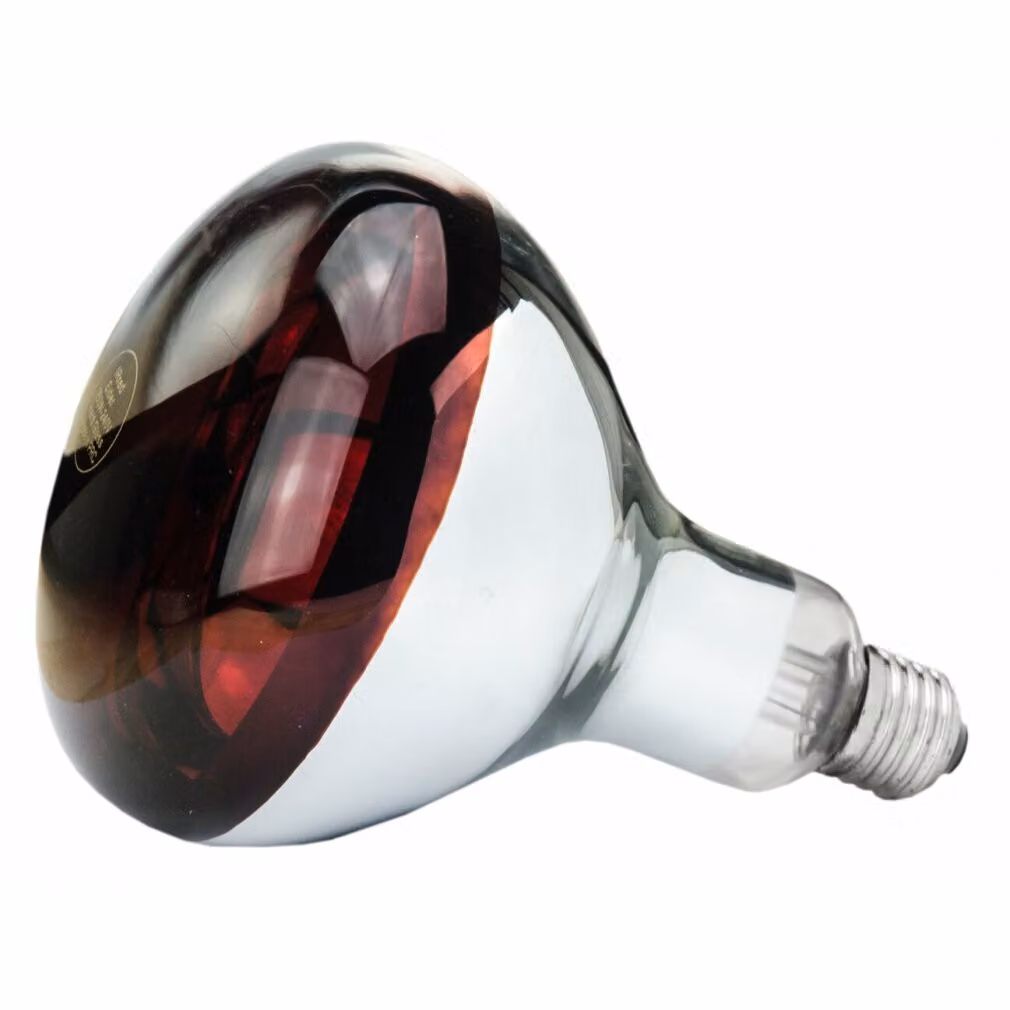 Lampada a infrarossi 250 W vetro temperato rosso