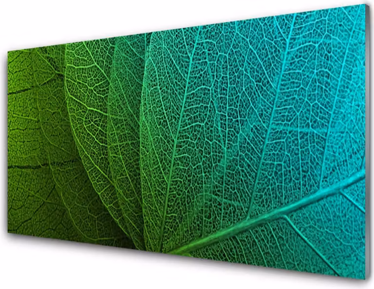 Pannello decorativo in vetro per cucina, dimensioni 100x50 cm, protezione dagli schizzi, motivo astratto con foglie e piante