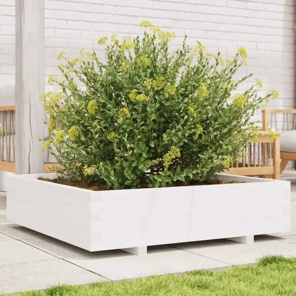 Fioriera a cassetta in legno massello di pino bianca per giardino, L: 100 cm, P: 100 cm, H: 26,5 cm – 2
