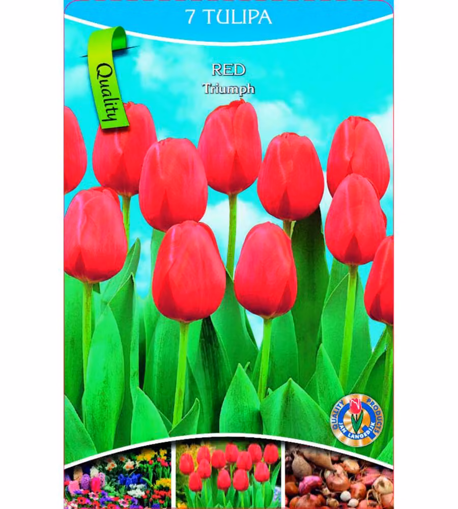 Bulbi Primaverili per Giardinaggio - Sementi Fiori