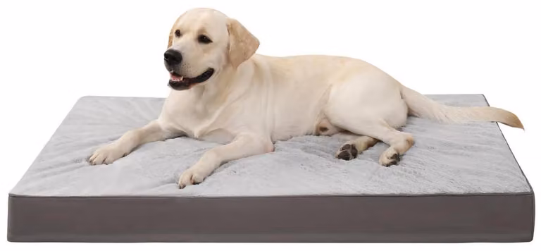 Letto ortopedico per cani, taglia XXL, 119x73x10 cm, grigio, lavabile, reversibile, imbottitura in schiuma viscoelastica