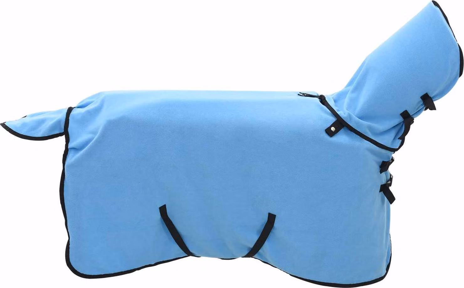 Coperta per Cavalli Aqua Completo 85 cm Poliestere
