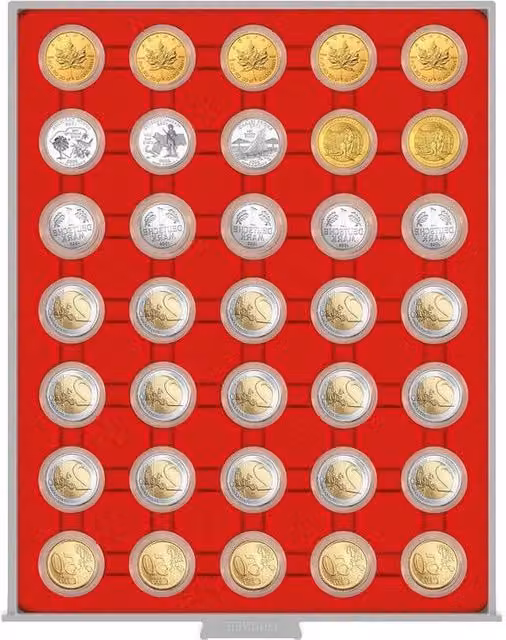 Scatola per monete con 35 compartimenti rotondi da 32 mm per capsule, in plastica e velluto, colori grigio, trasparente o rosso