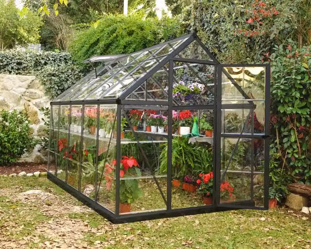 Harmony Trasparente Serra Da Giardino in Policarbonato 306X185X208 cm Grigio