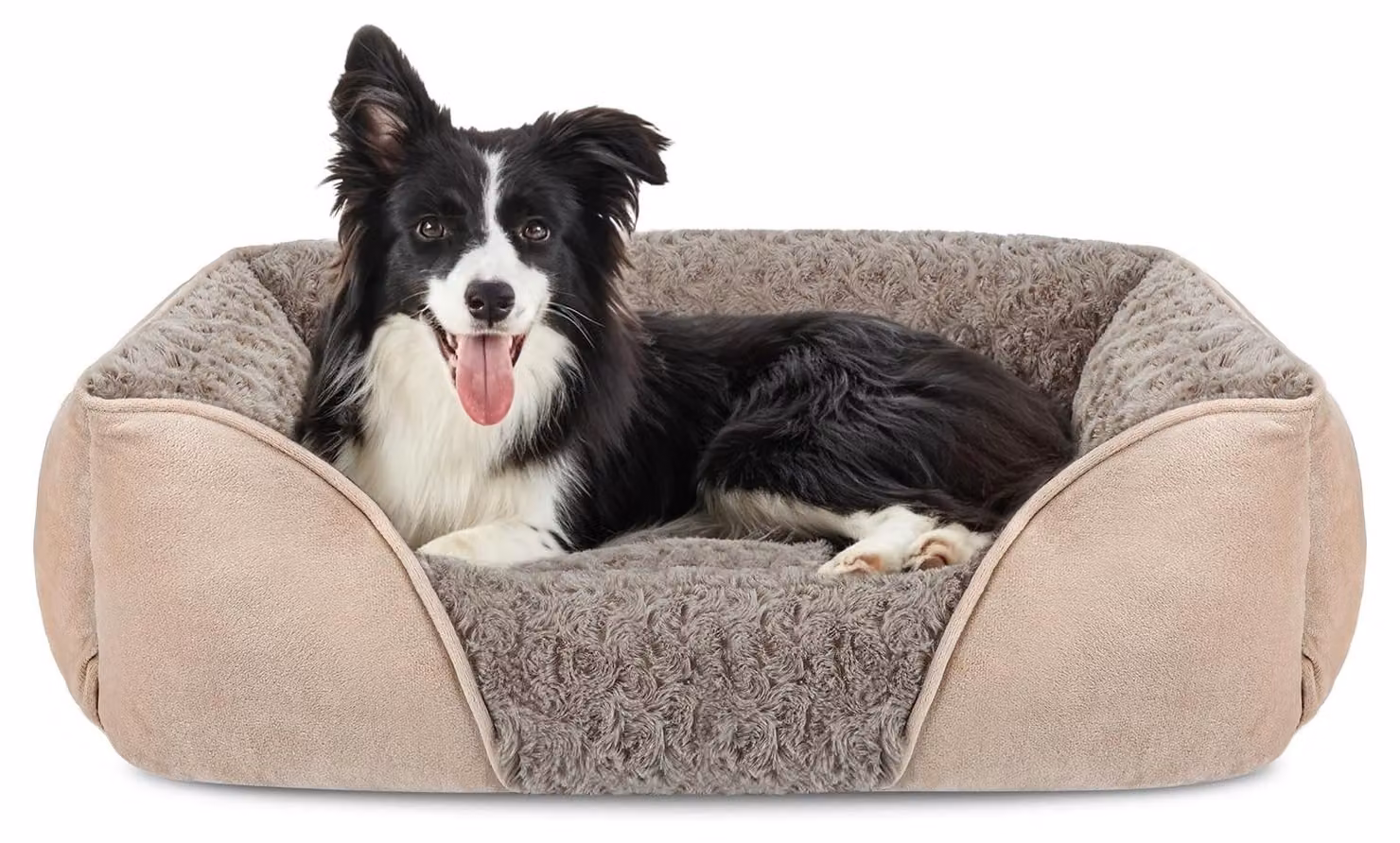 Cuccia per cani di taglia media, lavabile